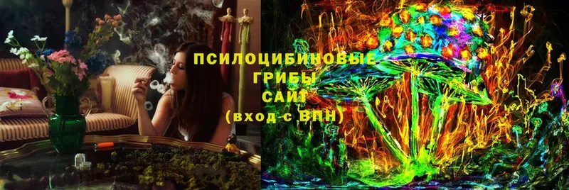 Галлюциногенные грибы мухоморы  omg как войти  Ковров  купить  цена 